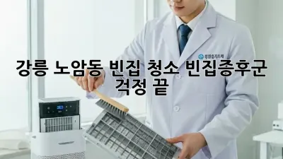 강릉 노암동 빈집 청소, 빈집증후군 걱정 끝!